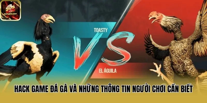 Hack Game Đá Gà Và Những Thông Tin Người Chơi Cần Biết