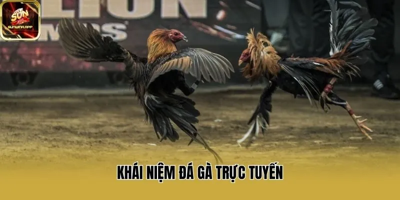 Khái niệm đá gà trực tuyển