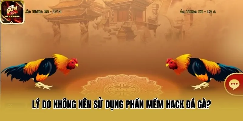 Lý do không nên sử dụng phần mềm hack đá gà?