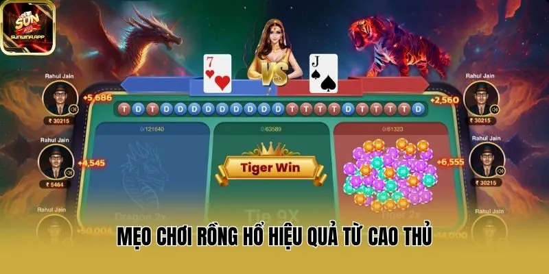 Mẹo chơi Rồng hổ hiệu quả từ cao thủ