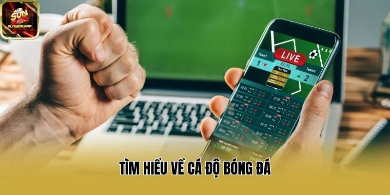 Tìm hiểu về cá độ bóng đá