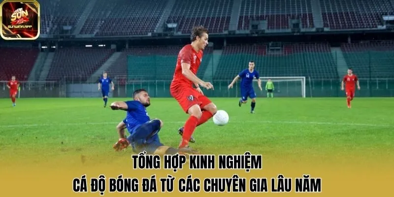 Tổng Hợp Kinh Nghiệm Cá Độ Bóng Đá Từ Các Chuyên Gia Lâu Năm
